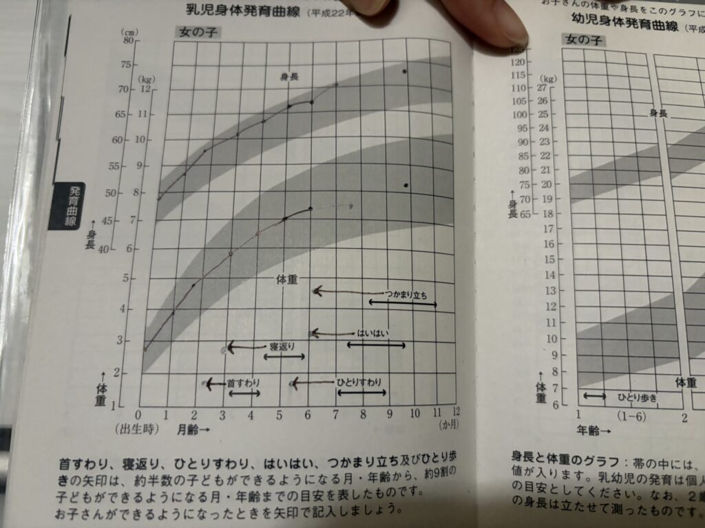 ギフテッド児の母子手帳の成長記録